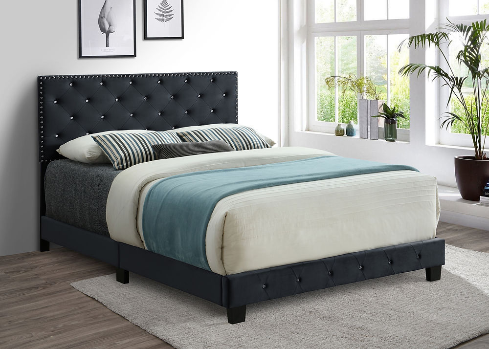 IF-5651 Black Velvet Bed with Nailhead Rhinestone